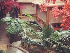 iphone_upload_pic-老山东·山东菜(鲁菜名店)