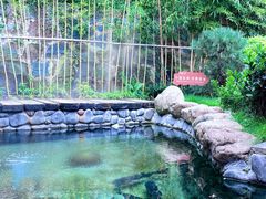 -耕渔小院·湖南鱼鲜(望城店)
