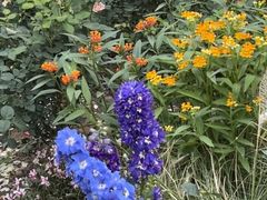 -人民公园(罗湖区)