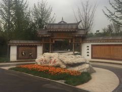 -武清南湖绿博园