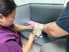 -酷宠动物医院(天通西苑店)