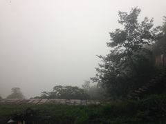 -轿顶山景区