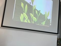 -诗宇时光茶艺书法古琴培训