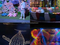 -顺德南宏海立方海洋公园