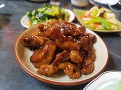 -京城·森鸽排档(双井店)