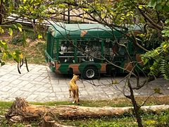 -深圳野生动物园