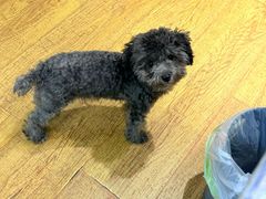 -观桥阁(锦溪店)