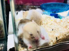 -南京时尚莱迪购物广场(正洪街店)