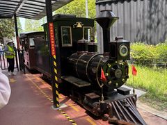 -黄海国家森林公园