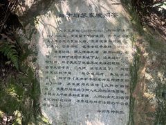 -十八棵（老龙井）御茶园(老龙井店)