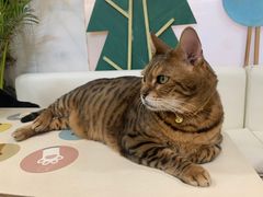 -小时光咖啡馆(北锣鼓巷店)