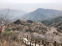 -大岭沟猕猴桃谷风景区