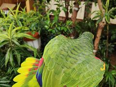 -南宫五洲植物乐园