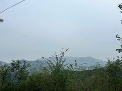 -妙峰山风景名胜区