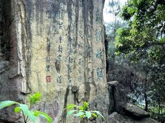 -铁山坪森林公园