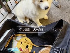 -瑞虹新天地月亮湾