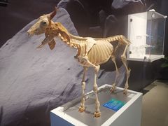 -生命奥秘博物馆