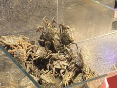 -海天一色海景自助餐厅(西港花园店)