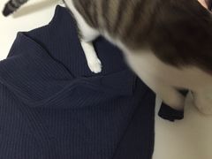 -曹树华专业无痕织补
