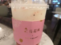 草莓波波-莓超疯