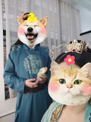 点击看大图 -美云庭古装·格格服汉服·京城旅拍(北京店)
