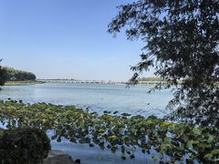 -丁香湖公园
