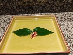 -普陀山雷迪森庄园