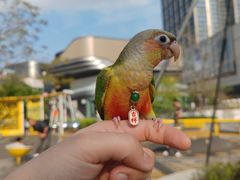 -东莞松山湖万象汇