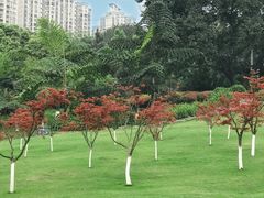 -龙头寺公园