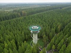 -黄海国家森林公园