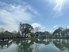 -渤公岛生态公园