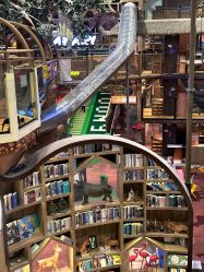 -卡通尼·Safari非洲探索乐园·生日会(金桥国际商业广场店)