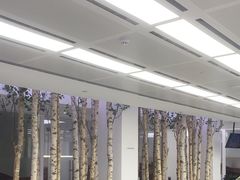 -极简口腔(总院)