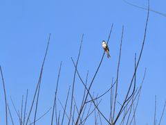 -云南艺术学院(呈贡校区)