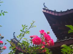 -堤角公园
