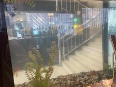 -清真·田园居家酸菜牛肉烤火锅(凤霞路店)