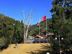 -灵光寺