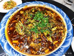 来凤鱼-新概念来凤鱼(璧山店)