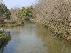 -东平国家森林公园