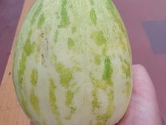 -大连熟食品交易中心