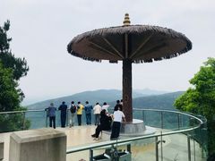 -铁山坪森林公园