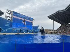 -上海海昌海洋公园