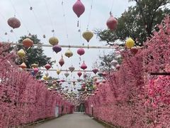 -北京凤凰岭