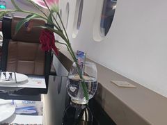 -法兰度航空主题餐厅(东汇城店)