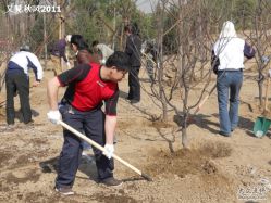 -大望京儿童游乐场