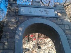 -北京鹫峰国家森林公园