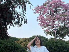 -长安公园