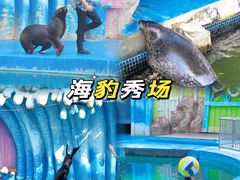 -华夏文旅西安度假区