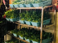 无公害蔬菜-好口福私房菜(太元路店)