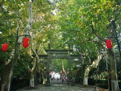 -杭州黄龙洞
